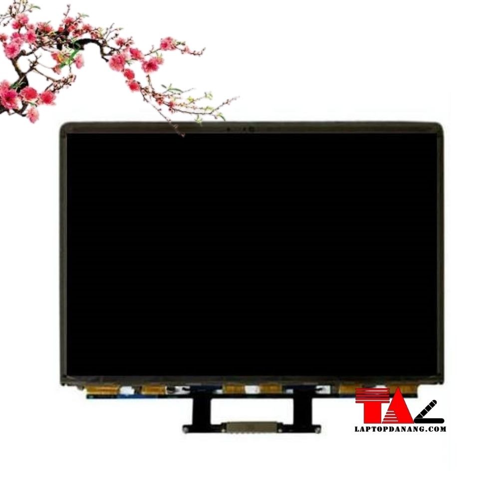 man-Macbook-Air-2020-A2179 man-Macbook-Air-2020-A2179