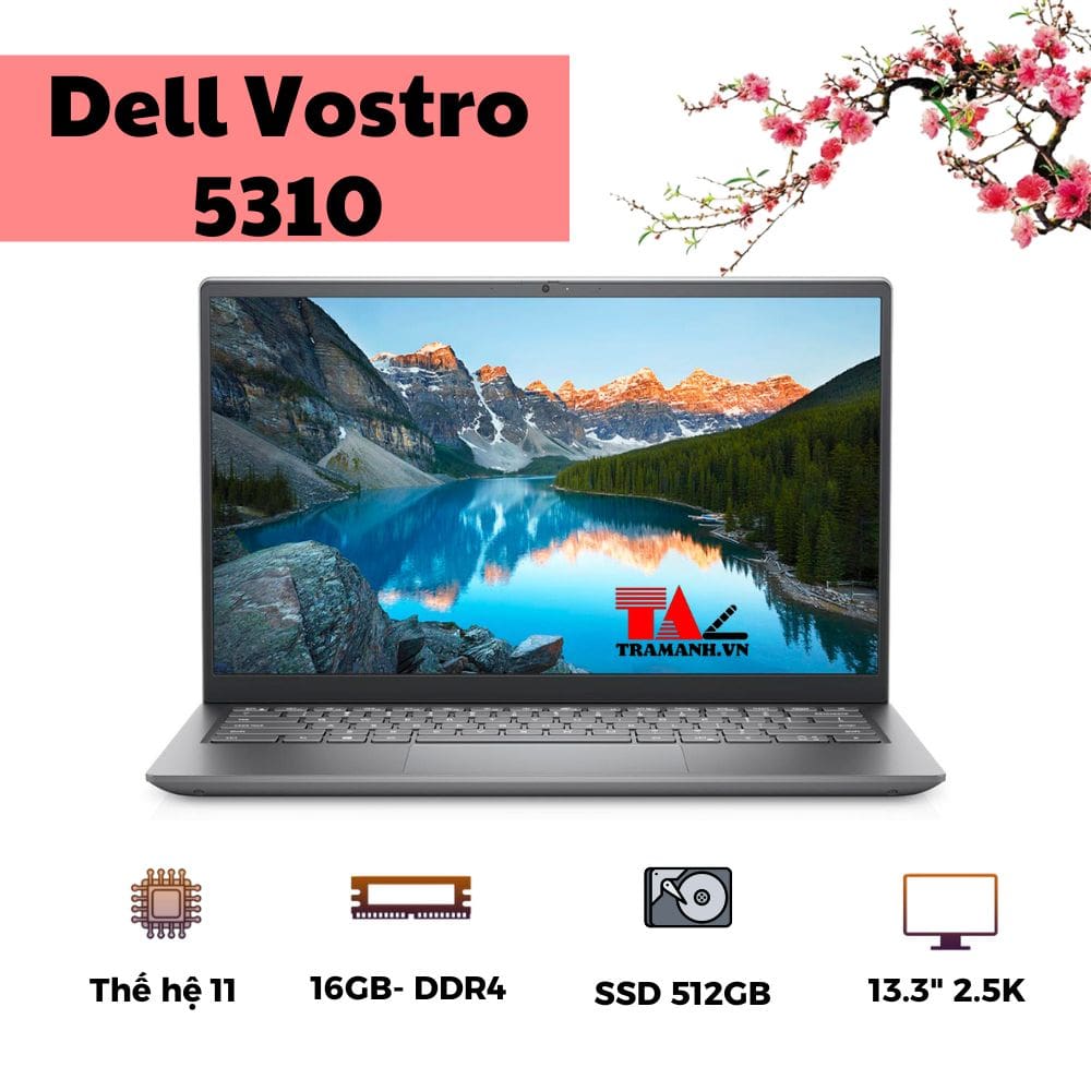 Dell-Vostro-5310