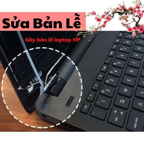 sua-ban-le-laptop