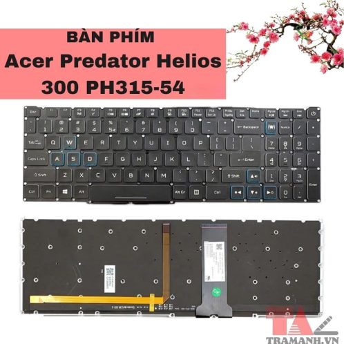 Bàn phím Acer Predator Helios 300 PH315-54