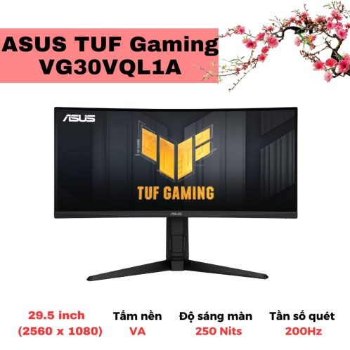 ASUS TUF Gaming VG30VQL1A