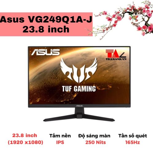 Màn hình Asus VG249Q1A-J 23.8 inch