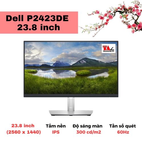 Màn hình Dell P2423DE 23.8 inch