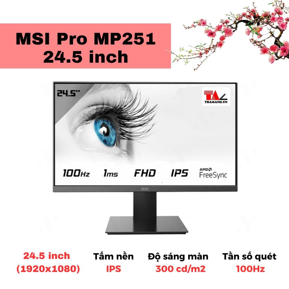 Màn hình MSI Pro MP251 24.5 inch Màn hình MSI Pro MP251 24.5 inch