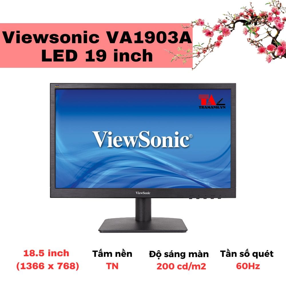 Màn hình Viewsonic VA1903A LED 19 inch