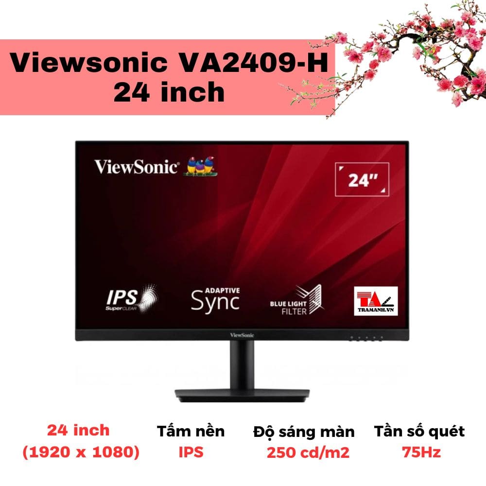 Màn hình Viewsonic VA2409-H 24 inch Màn hình Viewsonic VA2409-H 24 inch