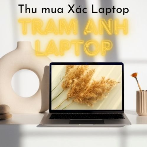thu-mua-xac-laptop-da-nang