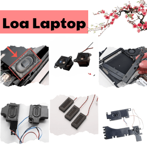 loa-laptop