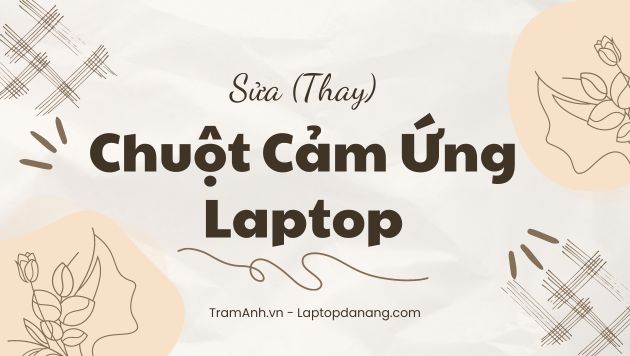 sua-thay-chuot-cam-ung-laptop